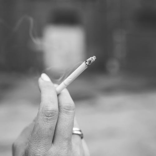 pexels-photo-165934_500x500